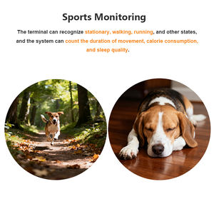 Rastreador GPS Pequeño para Perros y Gatos, Antipérdida, con Rastreo en Tiempo Real, Etiqueta Inteligente para Mascotas, Rastreador de Actividad 4G con Datos Deportivos - Product Image 3