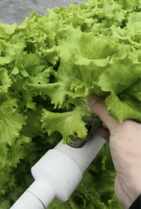 Sistema Hidropónico NFT con 72 Orificios, Sistemas de Cultivo Hidropónico Verticales, Tubo de PVC para Plantas y Vegetales - Product Image 5