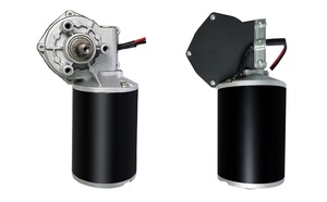 Maintex 12V 24V 110V 220V DC Geared Motor 12 Volt Dc Motor High Torque Worm Gear Motor - Product Image 3