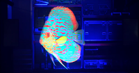 Layar Proyeksi Holografik Pepperscrim 3D Holo Gauze Screen yang Tahan Lama
