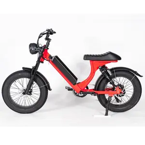 Gros pneu vélo électrique pliable 1000w 48v fabriqué en chine contrôleur de moteur sans balais e-bike