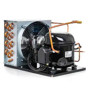 High efficiency Condensing Unit with compressor