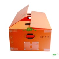 Bacs de rangement pliables en PP écologiques personnalisables, caisses en plastique recyclables empilables, antistatiques, légères, imperméables, résistantes aux UV