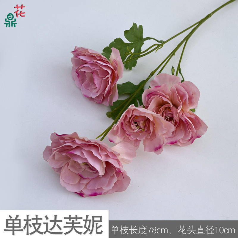 Single daphne qxl autumn pink