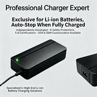 Vente en gros : Chargeur 42V4A 168W avec entrée 100-240V pour PowerPack 300/400, PowerTube 400, PowerTube 500/625, PowerPack 500 (certifié CE/UL/KC)