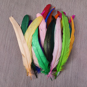 <span class=keywords><strong>Plumes</strong></span> <span class=keywords><strong>de</strong></span> queue <span class=keywords><strong>de</strong></span> coq colorées pour la décoration <span class=keywords><strong>de</strong></span> la maison, artisanat DIY, fournitures pour fêtes <span class=keywords><strong>de</strong></span> mariage, vente en gros, <span class=keywords><strong>lot</strong></span> en vrac - Product Image 1