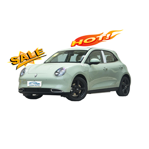 2024 हॉट बिक्री चीनी वाहन और ओरा 4-सीटर नई ऊर्जा वाहन मिनी इलेक्ट्रिक कार ओरा अच्छी बिल्ली - Product Image 1