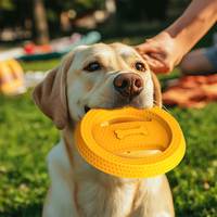 Disque volant interactif léger pour chien, jouet flottant pour l'eau, en caoutchouc souple aux couleurs vives
