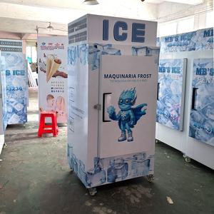 Marchandiseur commercial de congélateur de refroidisseur d'affichage de glace ensachée à température unique avec refroidissement ventilé de contrôle de température numérique - Product Image 6