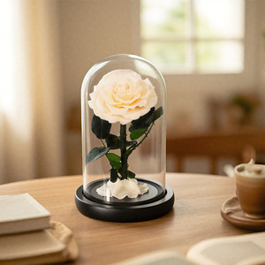 Fleur éternelle petit Prince unique Rose fait à la main conservé anniversaire et saint valentin cadeau usine cheveux raides couverture en verre - Product Image 3