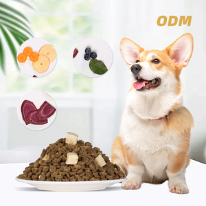 Çin fabrika doğrudan satış toptan özelleştirilebilir köpek maması OEM ODM özel etiket kuru köpek maması süper <span class=keywords><strong>Premium</strong></span> köpek maması - Product Image 5