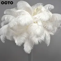 Wholesale Black Ostrich Feather Bulk 15-75Cm Real Plumes for