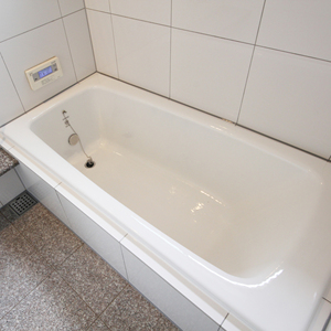 Nhúng bồn tắm, tráng men gang - Product Image 1