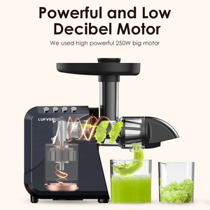 BPA-Free Multi-Functional Slow Masticating Juicer Machine Hot Selling Low Noise Cold <b>Press</b> Slow Juicer Extractor - Product Image 5