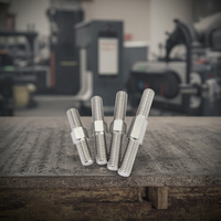 Attaches à tige filetée à double tête en acier inoxydable 304/316 avec finition en zinc M8 M12 M16 M20 Boulons à vis double face