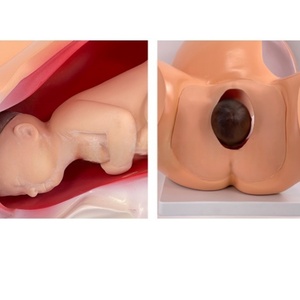 Simulateur d'accouchement mécanique avec accouchement en rotation-Modèle de formation obstétrique avancée pour l'éducation des sages-femmes - Product Image 6