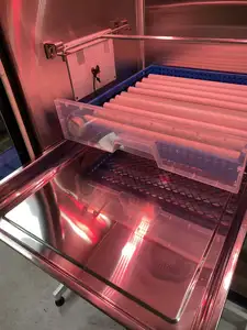 Aeolus incubadora de ovos para animais, totalmente automática, incubadora de animais, incubadora de pássaros