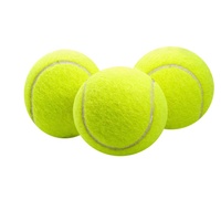 BSCI personnalisé imprimé 2.5 pouces balle de Tennis d'entraînement jouets pour animaux de compagnie balles de Tennis jouets interactifs pour chien pour l'entraînement