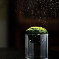Botella ecológica de micropaisaje creativo de alto valor, botella de musgo de vidrio transparente grueso para plantas hidropónicas transfronterizas