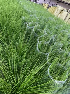 Venta Exitosa de Plantas Artificiales de Exterior, Hierba de Caña Simulada, Hierba de Cebolla, Macetas de Bonsái, Plantas Secas, Arte Exterior - Product Image 6
