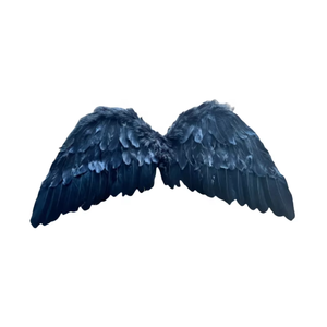 Decorazioni festa Cosplay carnevale ali <span class=keywords><strong>d</strong></span>'<span class=keywords><strong>angelo</strong></span> Halloween di alta qualità <span class=keywords><strong>piuma</strong></span> nera di medie dimensioni Opp Bag decorazioni per le feste - Product Image 1