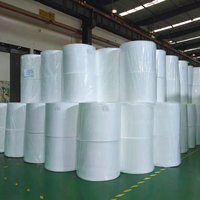 Ensemble de literie textile de maison à prix abordable, matelassé, en tissu non tissé PP Spunbond en rouleau TNT