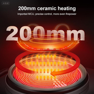 Estufa de inducción eléctrica de próxima generación <span class=keywords><strong>integrada</strong></span> 2500W Sistema de calefacción profesional de acero inoxidable de doble cocina para cocina inteligente moderna Multi - Product Image 3