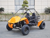 Buggy de plage 200cc Go Kart Sport Buggy dune extérieur 200cc 4 temps