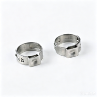 OEM ODM Mini-colliers de serrage en acier inoxydable, collier de serrage simple pour tuyau, pour l'industrie pétrochimique