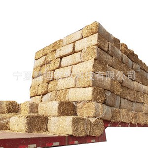 Paca de Forraje de Tallos de Maíz, Alimento Desmenuzado para Ganado Vacuno, Ovino y Equino, Suministro Directo de Origen - Product Image 5