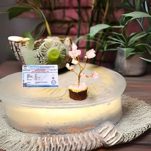 Árbol de Cristal de Cuarzo Rosa: Miniatura de Árbol Curativo del Amor y la Armonía - Product Image 2