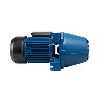 Jet 100S Pompe à eau Jet Pompe Eau Lectrique 48 M 1 pouce Pompes auto-amorçantes pour usage domestique