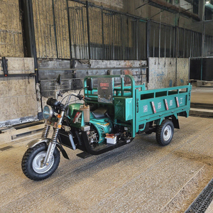 2026 Dreirad-Lastenmotorrad Benzin 150cc 200cc Passagier Offene/Geschlossene Karosserietypen CCC Motorisierte Dreiräder - Product Image 2