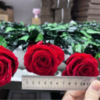 Lovebay Usine En Gros Simple Pour Toujours Rose avec Tige Everlastng Éternité Préservé Unique Rose Vraies Roses Éternelles Avec Tige