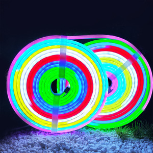 Địa chỉ rgbic Neon dây đèn DC12V 24V 5m 10m 6*12mm 8*16mm ws2811 DMX đầy đủ màu sắc linh hoạt không thấm nước Neon LED Strip ánh sáng - Product Image 2