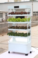 Système de culture hydroponique pour plantes d'intérieur à la maison