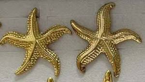 <span class=keywords><strong>Orecchini</strong></span> <span class=keywords><strong>a</strong></span> <span class=keywords><strong>Stella</strong></span> <span class=keywords><strong>Marina</strong></span> in Acciaio Inossidabile Dorato, Design Vari, Resistenti allo Sbiadimento, per Donne JQ-005 - Product Image 3