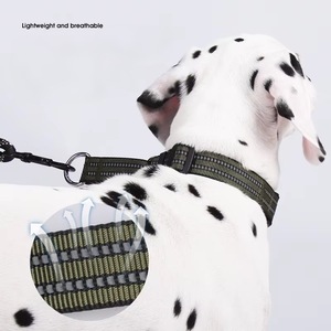 Anpassbares neues Halsband für große mittelgroße Hunde Reflektierende Anti-Lost-Nylon-Massiv-Cross-Border-gepolsterte Gravur funktionen - Product Image 3