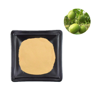 20:1 Monkfruit 50% Pure V 50 en polvo EXTRACTO DE edulcorante de fruta de monje en polvo Mogroside V