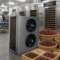 Maine Blauwe Bosbes Droogmachine Warmtepomp Fruitdroger voor Wilde Blauwe Bessen