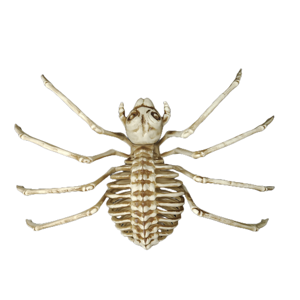 Décorations d'Halloween : Accessoires d'araignées effrayantes, squelettes d'araignées, pour la Fête des Morts, maisons hantées et aménagement d'hôtels - Product Image 2