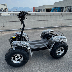 Scooter électrique tout-terrain robuste pour usage agricole, avec moteur brushless 6000W, batterie lithium <span class=keywords><strong>50</strong></span> Ah et pneus robustes. - Product Image 1