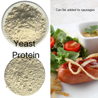 Protéine de levure hypoallergénique de qualité alimentaire F80EC en poudre, sans OGM, vente en gros