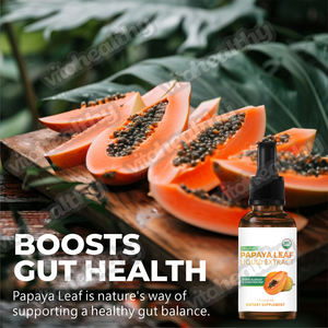 Vitahealthy OEM/ODM özel etiket fabrika kaynağı <span class=keywords><strong>Papaya</strong></span> yaprak özü sıvı destek vücut savunma sistemi ve sindirim yardım - Product Image 4