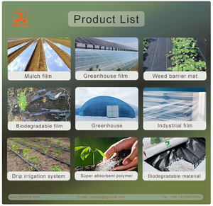 <span class=keywords><strong>Film</strong></span> plastique agricole perforé pour paillis de plantation - Product Image 6