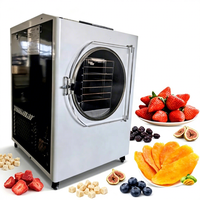 Laboratoriumvriesdroogapparaat Lyofilisatiemachine voor huisdierenvoer, fruit en groenten 220v