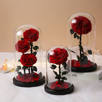 Roses éternelles personnalisées, cadeau pour la Saint-Valentin, la fête des mères, fleurs préservées éternelles, roses éternelles dans un dôme en verre
