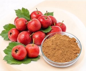 Extracto de Espino Blanco (<span class=keywords><strong>Crataegus</strong></span> Pinnatifida) en Polvo, Relación 10:1, Vitexina, Flavonoides, Ingrediente Botánico de Grado Alimenticio, a Granel - Product Image 2