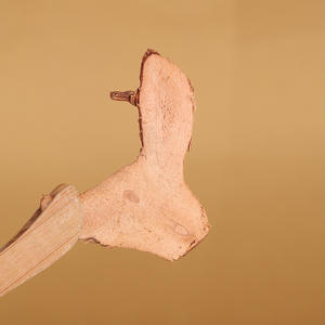 Fette di Galangal Selezionate a Mano Direttamente dalla Fabbrica 1kg - Integratore Naturale a Base di Erbe per il Comfort Digestivo, MOQ Basso e OEM - Product Image 3