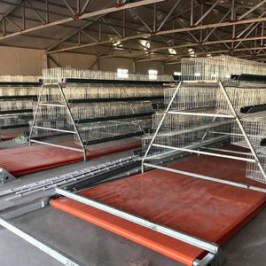 Automatische Kippengevogelte Eierlagen Kooi Heet Gegalvaniseerd Boerderij Ontwerp Een Type Kooi - Product Image 4